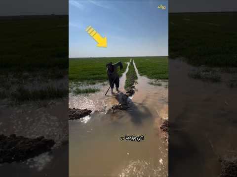 الزراعة في العراق 😯!