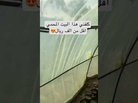 مشروع البيت المحمي واقل تكلفة بناء #السعودية #الزراعة_في_السعودية مشروع البيت المحمي واقل تكلفة بناء #السعودية #الزراعة_في_السعودية