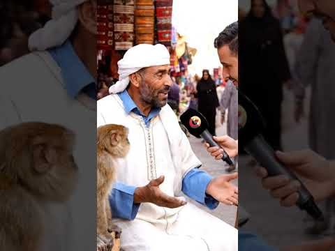 الذكاء الاصطناعي #الذكاءالإصطناعي #ذكاء_اصطناعي