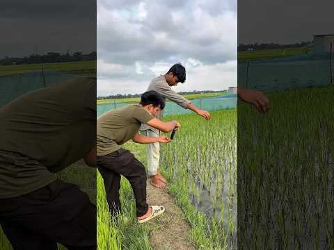 Creative videography #farming #ideas #creativeideas #khetibadi #virulshorts #videoediting #video