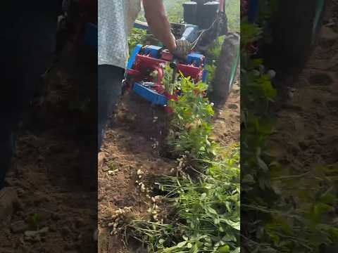 Amazing Farming Machine in Action 🚜💥 | JUST KD Agriculture | Part 743