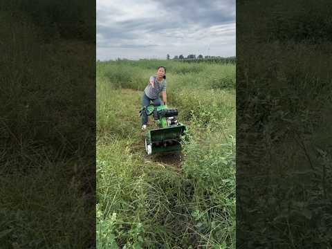 Amazing Farming Machine in Action 🚜💥 | JUST KD Agriculture | Part 755 Amazing Farming Machine in Action 🚜💥 | JUST KD Agriculture | Part 755