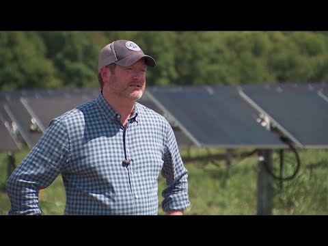 USDA cuts solar farm funding as one company says energy and agriculture can coexist 1 USDA cuts solar farm funding as one company says energy and agriculture can coexist